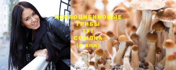кокс Верея