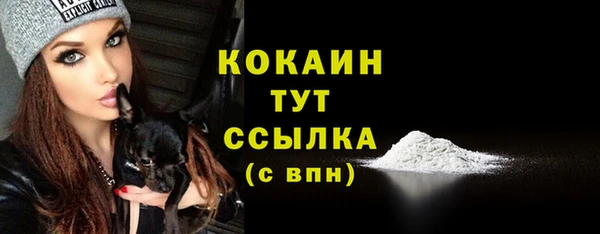 гидра Верхний Тагил