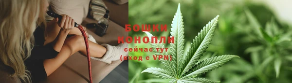 гидра Верхний Тагил
