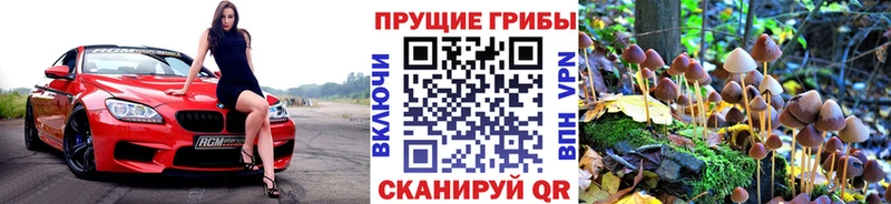 Купить  Сим  Галлюциногенные грибы мицелий 